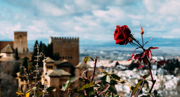 Visita a Granada Poesia andalusi por el Bosque de la Alhambra