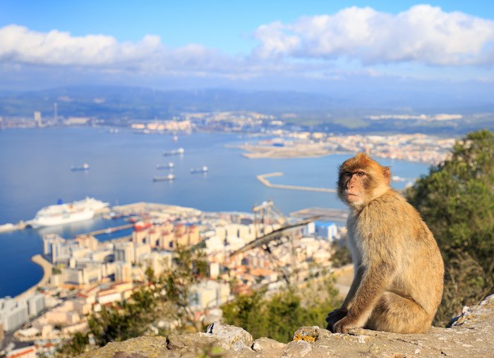 Excursión a Gibraltar desde Granada
